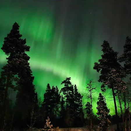 Modern With Panoramic Views Near Langedrag بيت للعطل Tunhovd